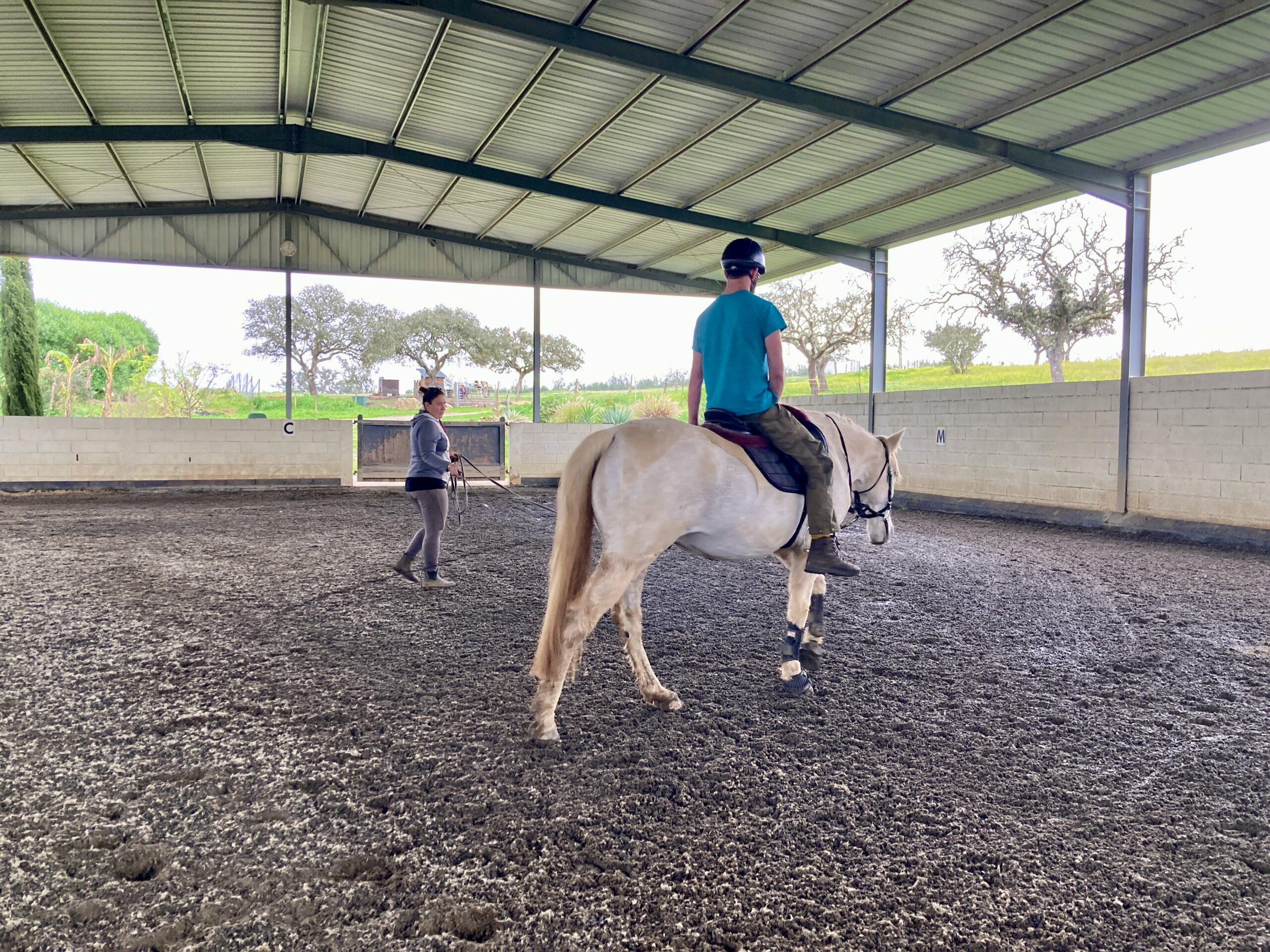 Riding lesson, man at the lunge on a white horse