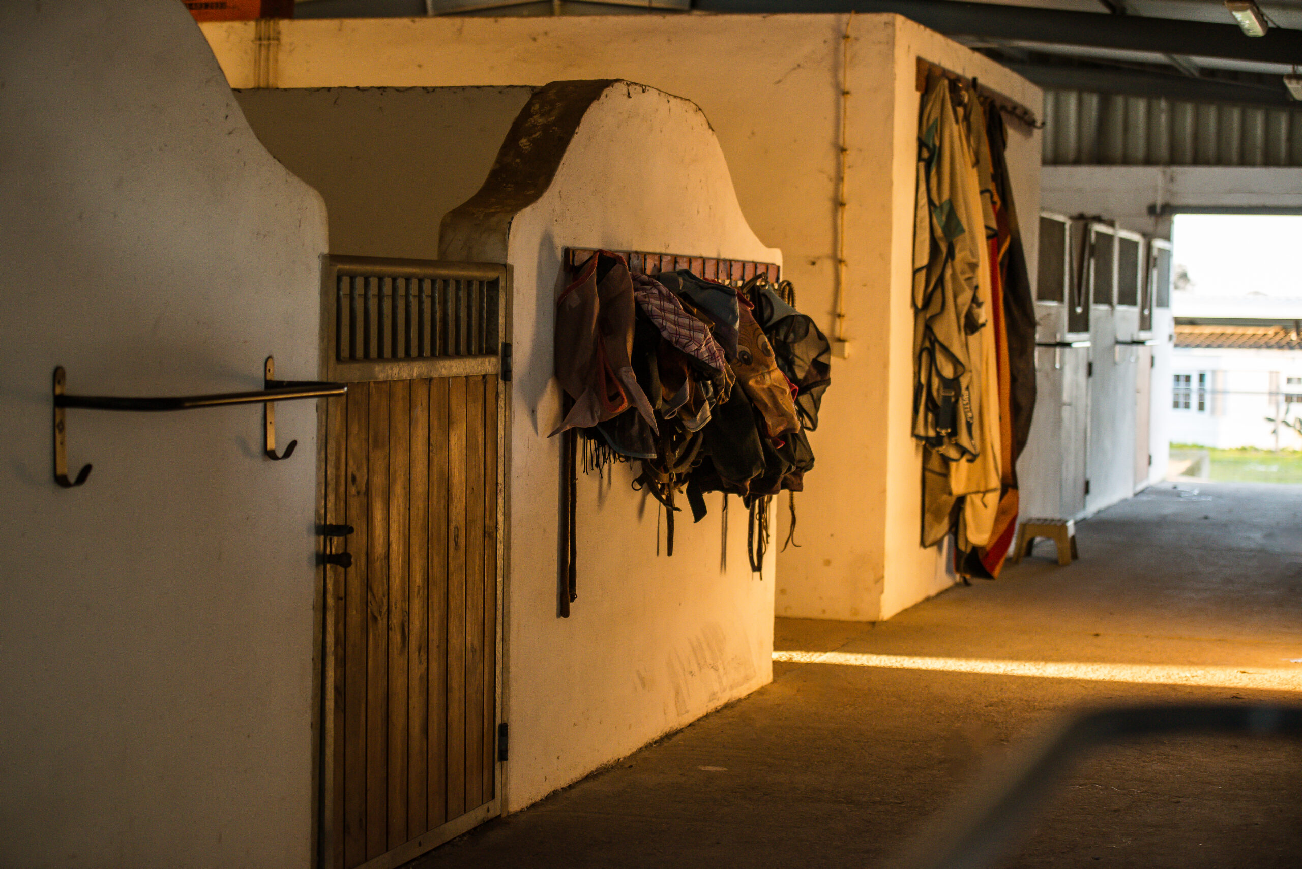 View into the stable aisle to a box on the left side with halters hanging on the wall
