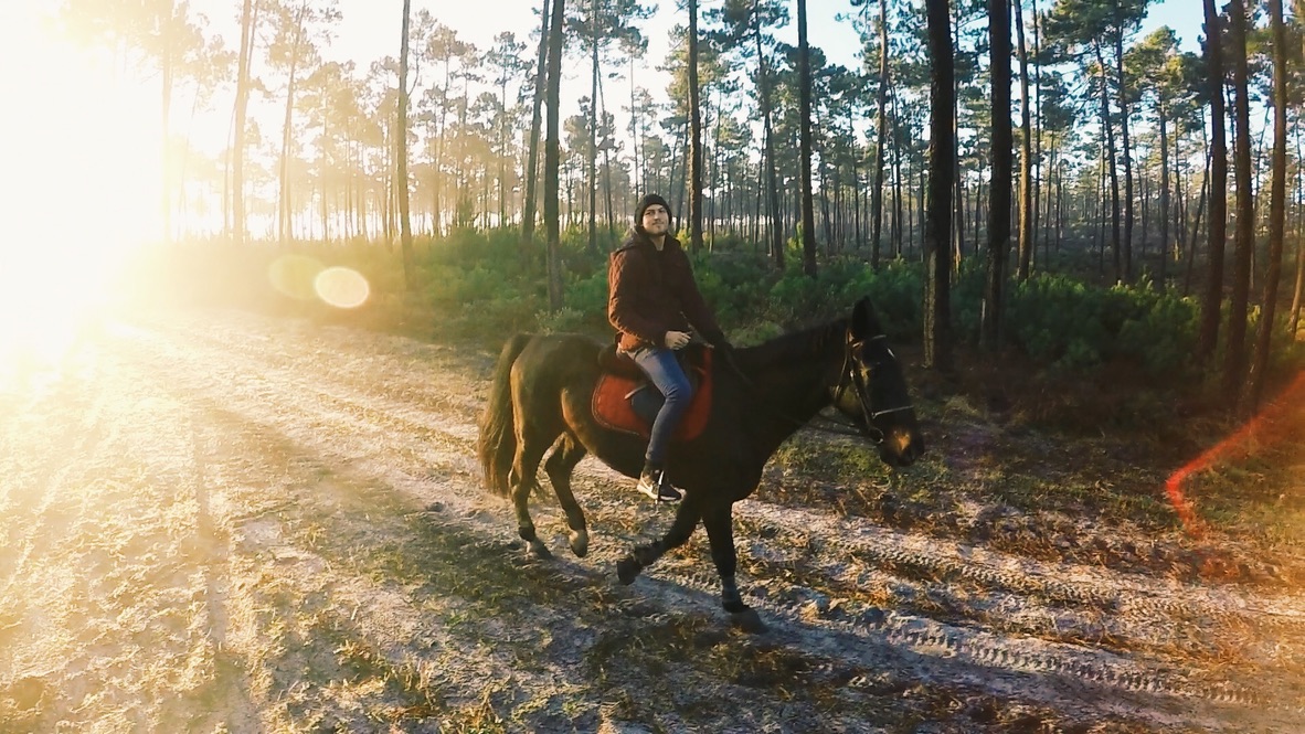 Young man sitting on dark brown horse riding in a pine tree wood on a sandy road.