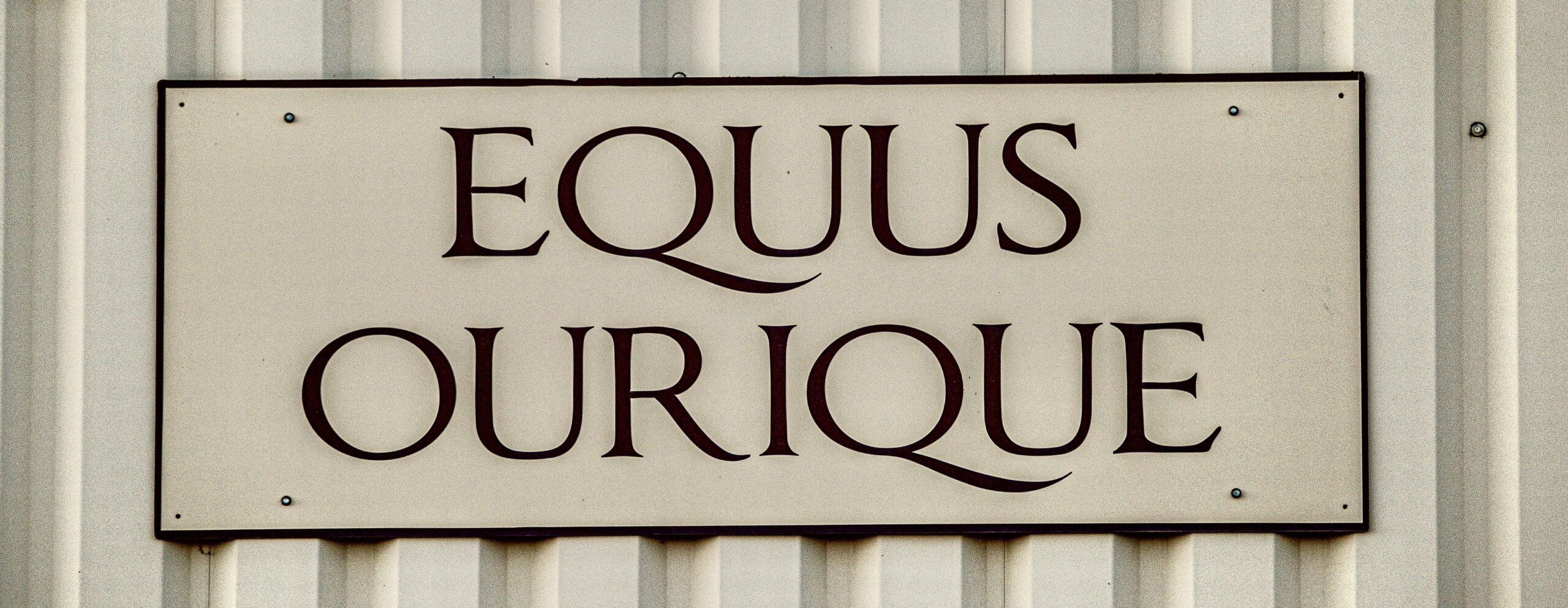 Picture of Equus Ourique lettering