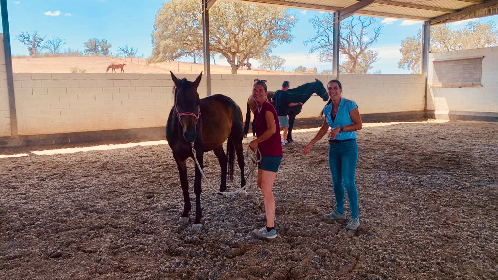 Two brown horses with their handlers and a teacher at a liberty clinic at Equus Ourique
