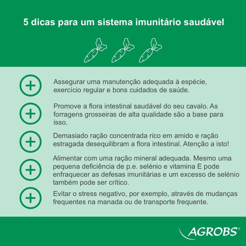 List of five tips from Agrobs about the immun system of horses - Portuguese version