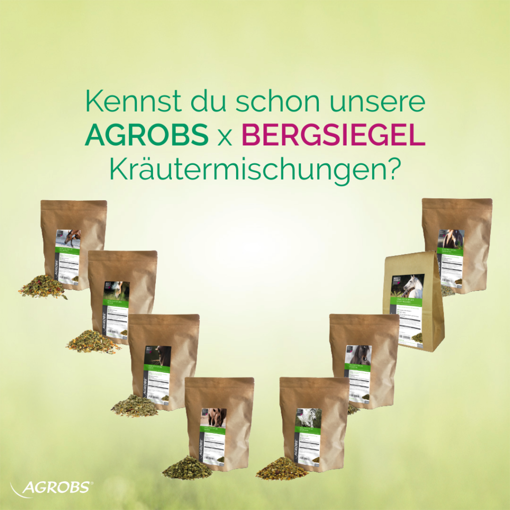 Produktfoto mit acht verschiedenen Kräutermischungen für Pferde von Agrobs Bergsiegel in Papiertüten