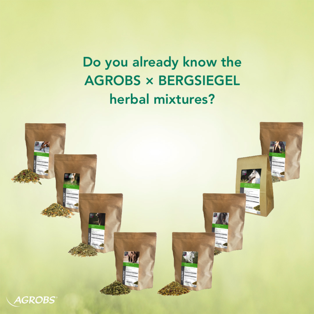 Product shot showing eight different herbal blends for horses from Agrobs Bergsiegel in paper bags