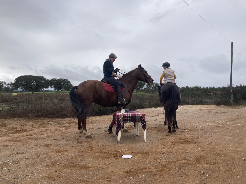 Setting up a table from a horse