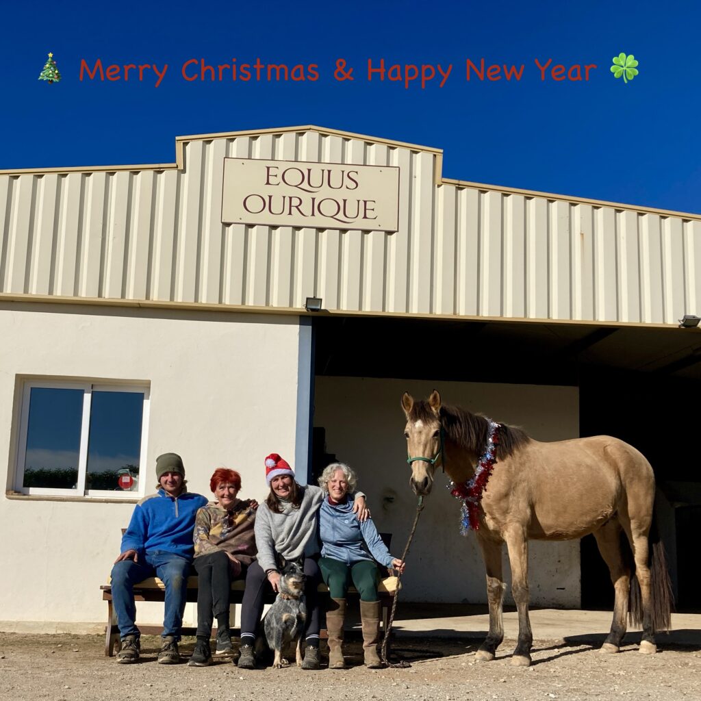 Christmas photo, four people sitting in front of Equus Ourique building on a bench with a dog in front and a horse on the right side