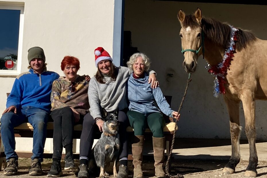 Christmas photo, four people sitting in front of Equus Ourique building on a bench with a dog in front and a horse on the right side