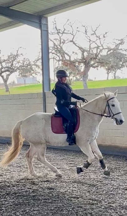 Woman on a white horse in canter in an indoor arena