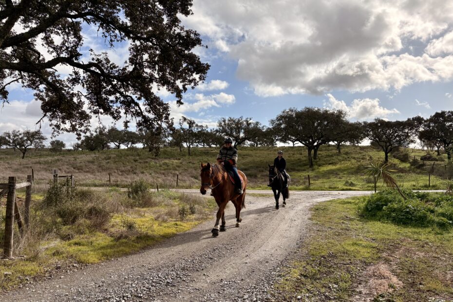 Two brown horses on a trail ride in Alentejo nature