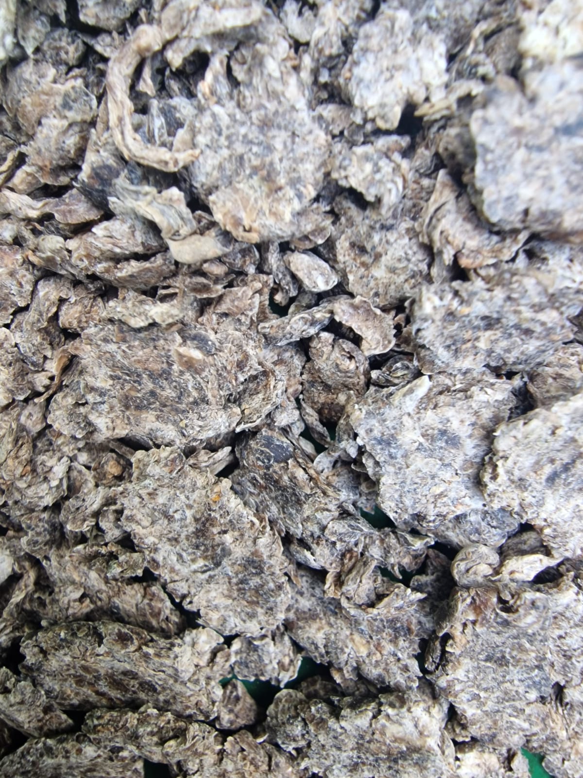 Product shot of Equi Glo 10 Minute Beet flakes